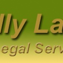 The Lilly Law Group, PC - Tax Attorneys