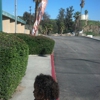 San Bernardino YMCA gallery