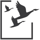 RBT CPAs, LLP