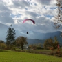 Freebird Paragliding