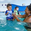 Aqua-Tots Swim School Sarasota gallery