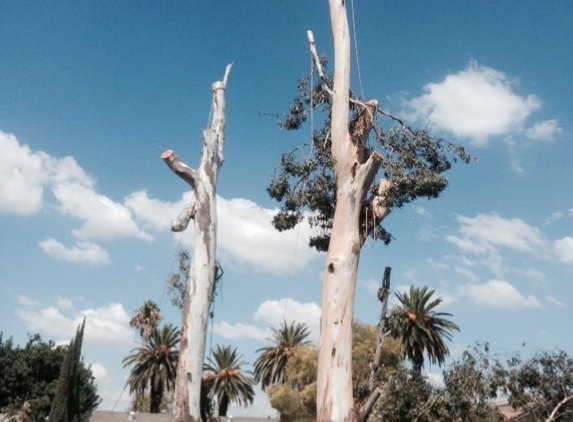 J C'S Tree Service - Riverside, CA