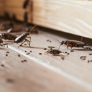 Better Pest Control Lv - Pest Control Equipment & Supplies