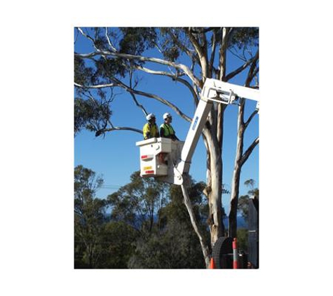 Sapphire Coast Tree Service & Tower Hire - South Pambula, NSW