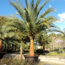 Palm Gardens Nursery - Nurseries-Plants & Trees