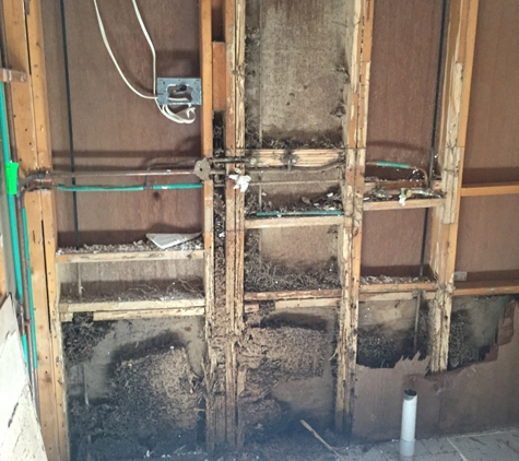 Natural Pest Control Queenslan - Bracken Ridge, QLD. Termite Destruction