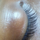 The Eyelash Place,Inc