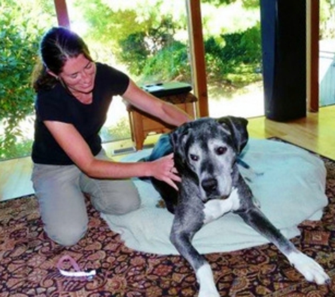 Timber Tails, LLC  Mobile Pet Massage - Gig Harbor, WA