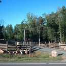 Pocket Creek Ranch, LLC - Horse Boarding