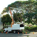 Superior Tree Service - Tree Service
