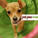 Just Paws Training - Dog Training