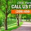 Modesto Tree Services gallery