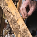Citi Termite Control - Pest Control Services