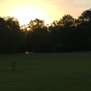 Anthony Perkins Lawn Care - Lawn Maintenance