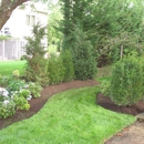 Andora Lawn Care - Gardeners