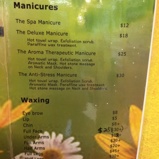 Excellence Organic Nails - Seffner, FL