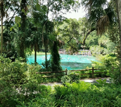 Rainbow Springs State Park - Dunnellon, FL