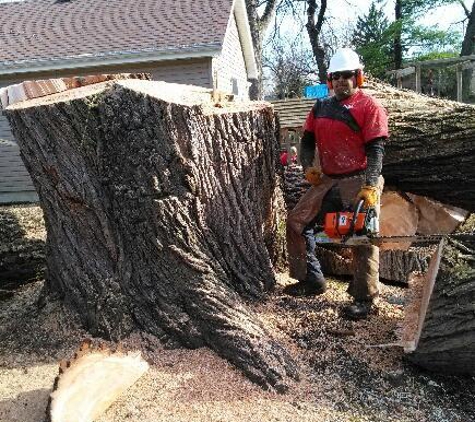 Smitty's Tree Service Inc. - Alsip, IL