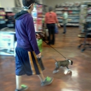 Choice Pet Market - Pet Stores