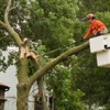 Indiana Tree Service