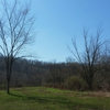 "Camp Cabin Creek" gallery