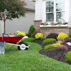 Rojas Landscaping & Home Services