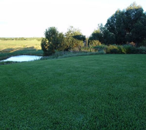 U-Bute Turf Farm - Kelso, QLD