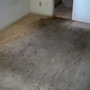 Mold Abatement Contractors Inc