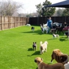 Arlington Turf Installers gallery