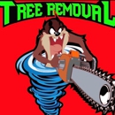 AV Construction - Tree Service