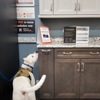 Canine Scent Inspections gallery