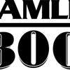 Amli 300 gallery