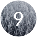 9 Pine Marketing - Marketing Consultants