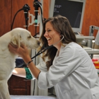 Veterinary Specialty and Emergency Center of Thousand Oaks