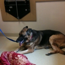 Valley Veterinary Emergency And Referral Center - Veterinarians