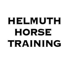 Helmuth Horse Training - Horse Training