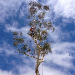 Snowy Mountains Tree Service Pty Limited - Cooma, NSW