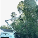 Bottoms Bridge Tree Service inc - Tree Service
