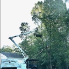 Bottoms Bridge Tree Service inc
