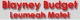 Blayney Budget Leumeah Motel