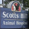 Scotts Hill Animal Hospital gallery