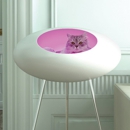 Skymall - Publishers