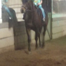 Whispering Pines Equestrian Center - Horse Rentals