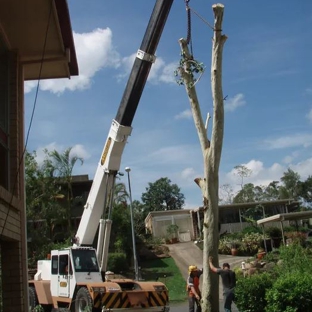 Arborforce Tree Services - Warner, QLD