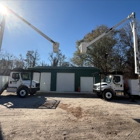 Tree Tech-Tree Service