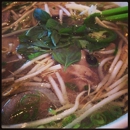 The Phở Shop - Vietnamese Restaurants