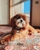 Suds to Studs - Dog & Cat Clipping & Grooming
