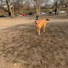 Fort Barnard Dog Park gallery