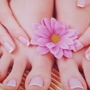 Venus Nails & Spa