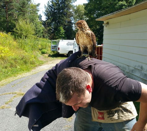 J Smegal Roofing & Renovations - Pittsfield, MA. Even the wildlife goes with J Smegal Contracting 